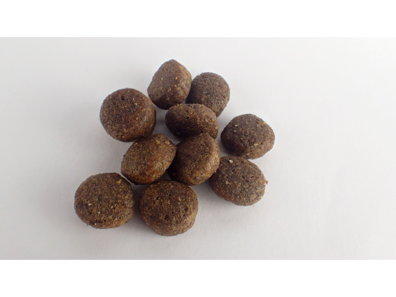 Calibra Dog Expert Nutrition Mobility Chicken & Rice