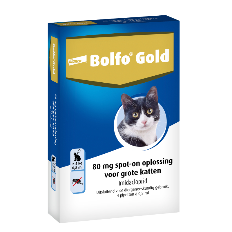 Bolfo Gold Kat Vanaf 4 kg - 4 pipetten - 80 mg, Dier, Kat, Zoogdier, Huisdier