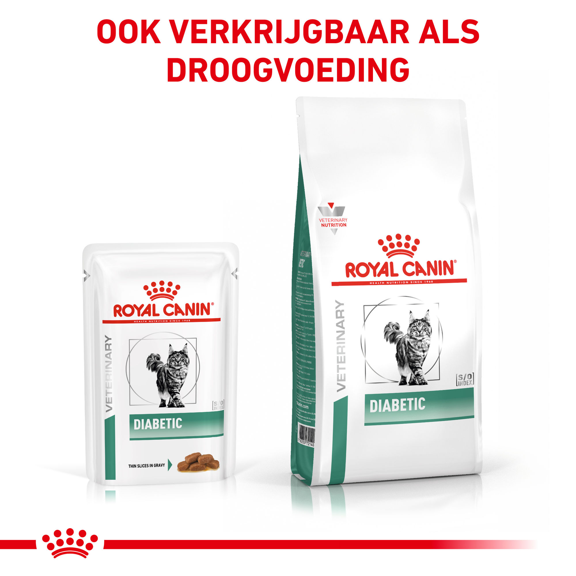 Royal Canin Diabetic Kat