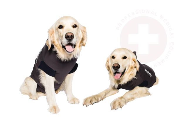 Jacketz Medical Body Suit voor honden Maat XXX-Small