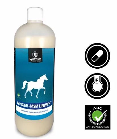 Synovium Ginger + MSM Liniment Beweging Paard 1000 ml