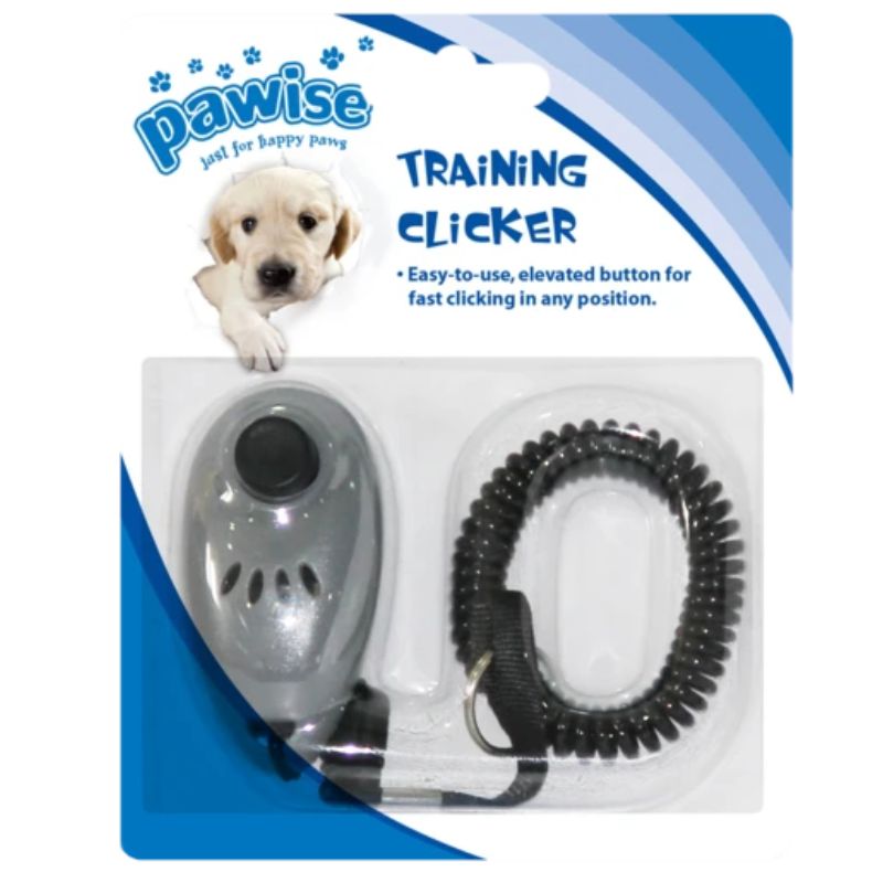 Training Clicker, Dier, Hondje, Hond, Zoogdier, Huisdier