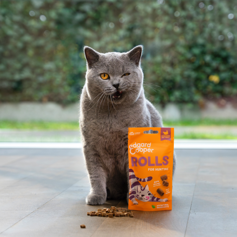 Edgard & Cooper Rolls Kattensnacks 45 gram Kip en Kalkoen